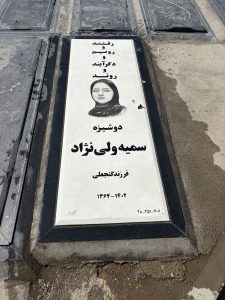سنگ نانو ایرانی کد - E16