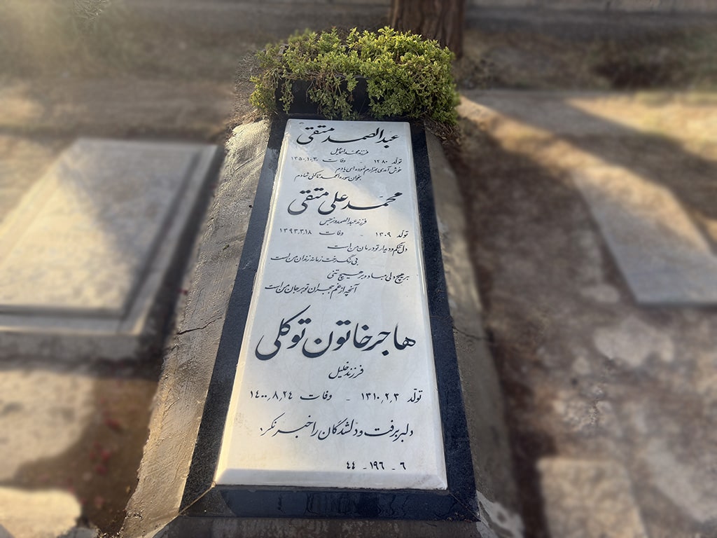 سنگ نانو ایرانی کد - E32